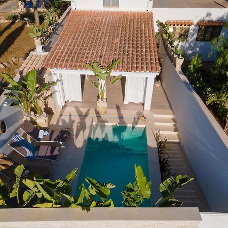 Villa Delle Palme Con Piscina Privata 산타 마리아 델 포칼로 외부 사진